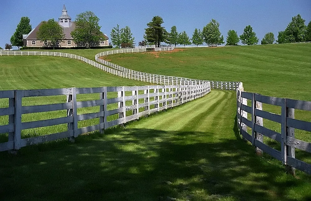 White board fence lining a farm lane in Lexington, Kentucky